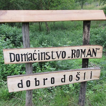Country House Roman Добой Экстерьер фото